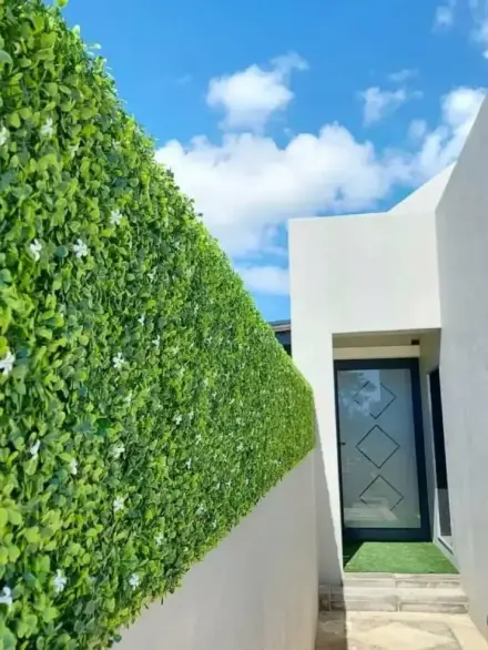 foto vertical 2